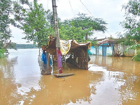 Honnali, Tungabhadra, rain,