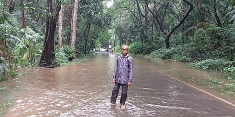 IMG-20220718-WA0016