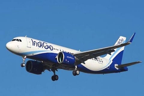 Indigo