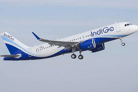 Indigo