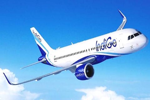 Indigo