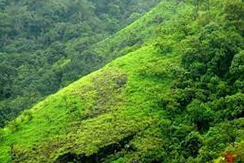 Kodagu