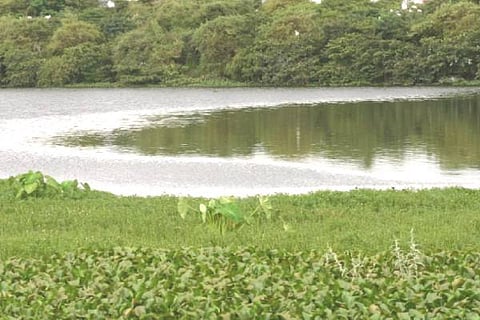 Lake