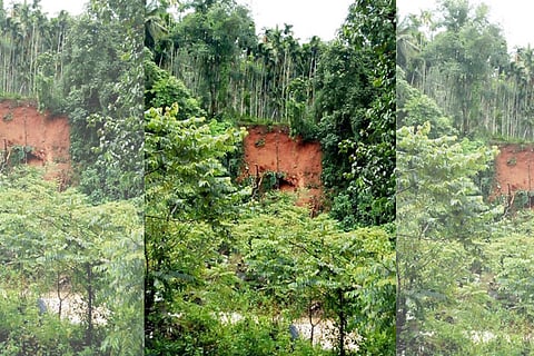 Malavanthige 1