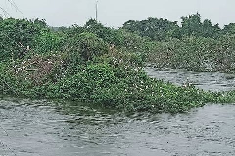 ranganatittu