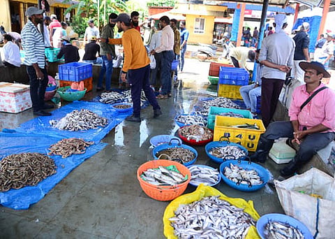 Traditional Fishing