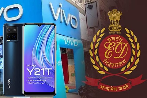 VIVO