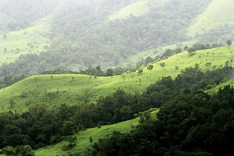 Western Ghat