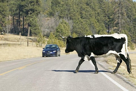 accident