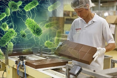 bacteria