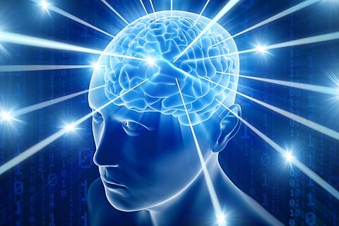 brain