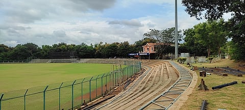cricket22