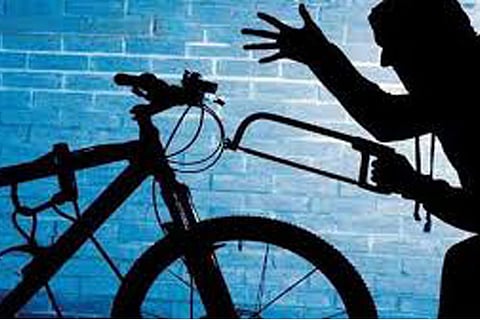 cycle web