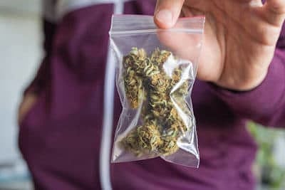 drug