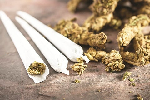 ganja
