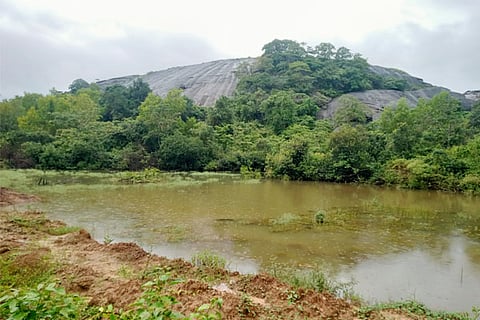 madaga