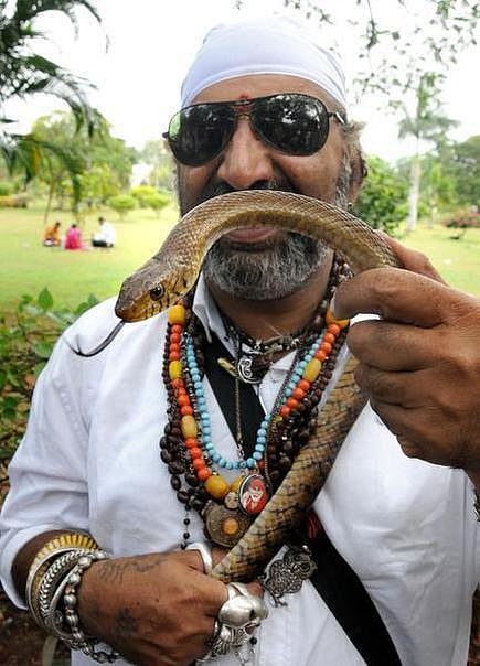snake shyam mysore