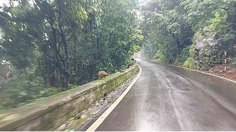 udp-29-agumbe