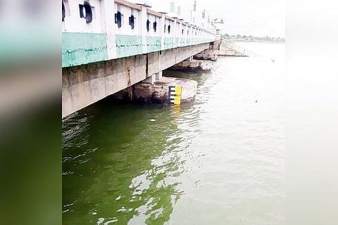 09082022 maski dam full