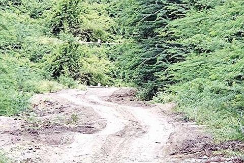 28082022 alawandi road