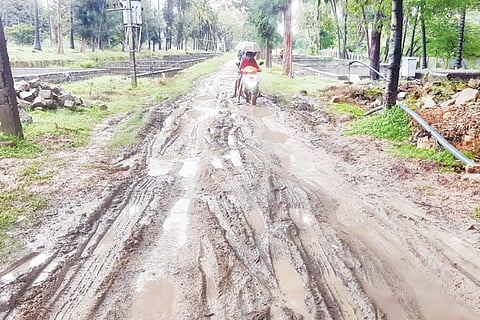 4 Budikote 6 kesaru gaddeyantaada raste