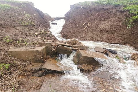 8mnd4-