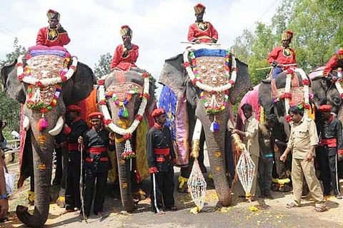 Elephant