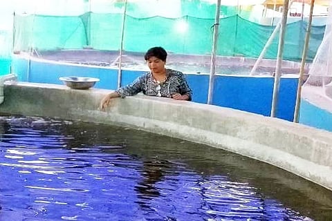 Fish