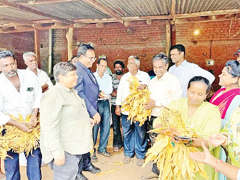 HUN-AUG-27-5(CTRI-DIRECTOR-VISIT)