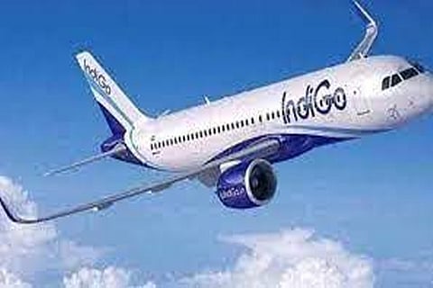 Indigo
