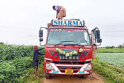 Lorry Driver
