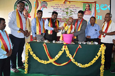 Mandya VV