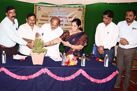 Mla