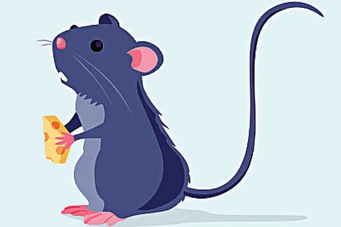 Mouse
