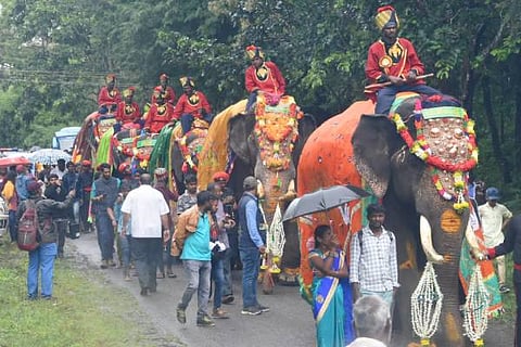 mysore dasara gajapayana