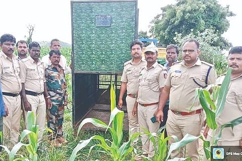 Nyamati, Honnali, Forest Force, Cheetah,