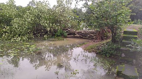 RPT WEB RAIN