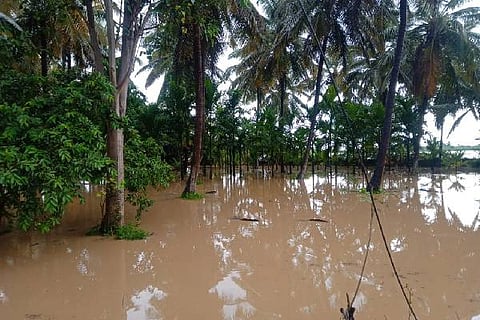 Rain