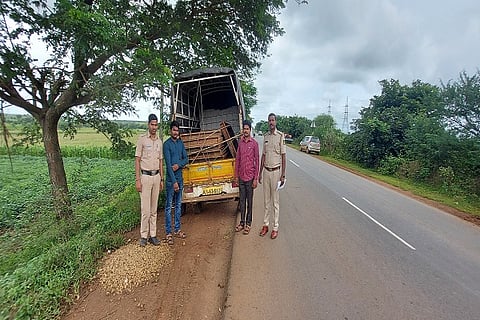 Rural