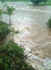 SKP WEB RAIN