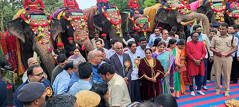 mysore dasara gajapayana