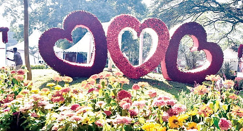 dasara-flower-show-1