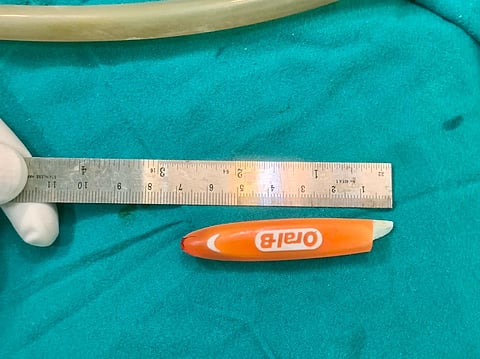 h18-tooth brush