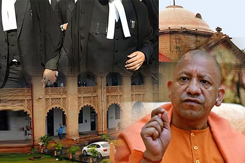 lawyers