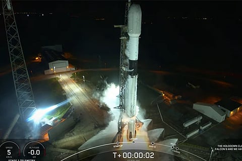 musk