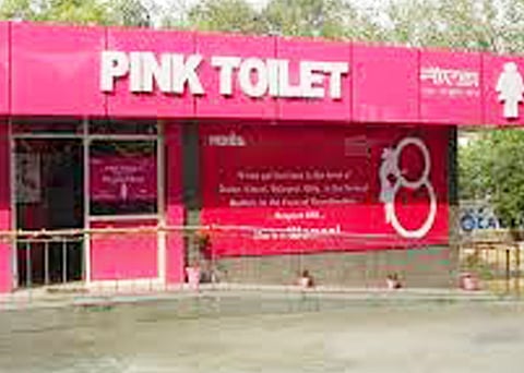 pink toilet