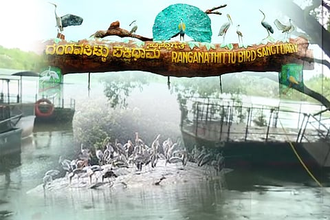 ranganatittu