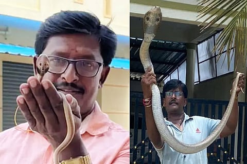snake Lokesh