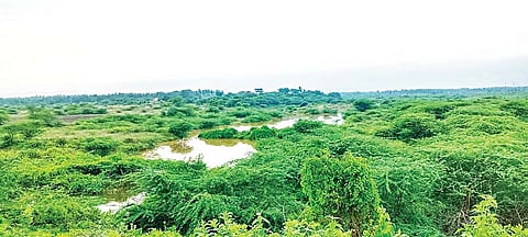 06-GPT-4-NALLURU AMNI JALASHAYA