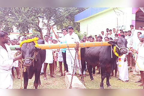 06092022 Arakera news